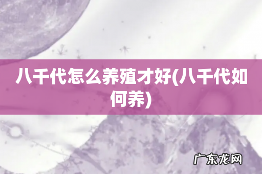 八千代如何养 八千代怎么养殖才好