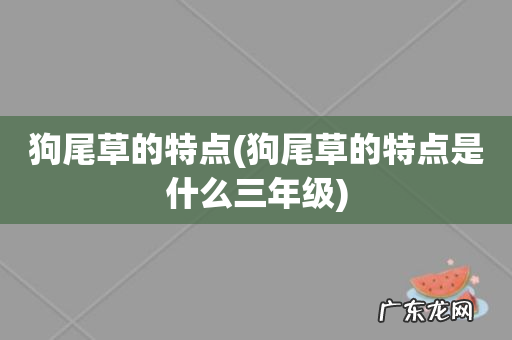 狗尾草的特点是什么三年级 狗尾草的特点