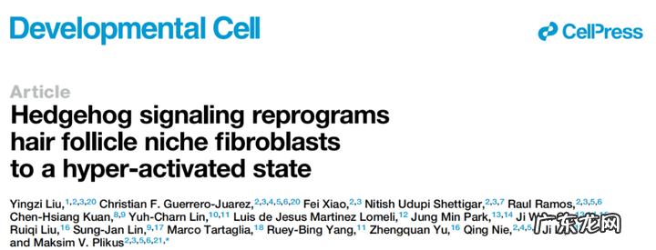 怎样提高性功能的方法 提高性功能的方法用什么