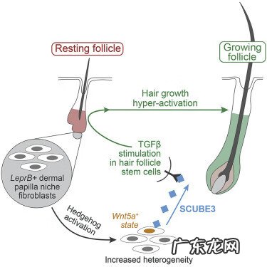 怎样提高性功能的方法 提高性功能的方法用什么