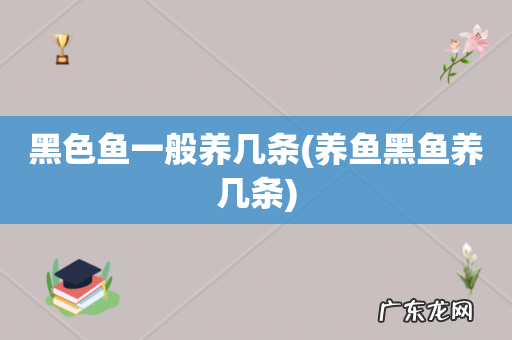 养鱼黑鱼养几条 黑色鱼一般养几条