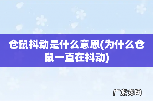 为什么仓鼠一直在抖动 仓鼠抖动是什么意思