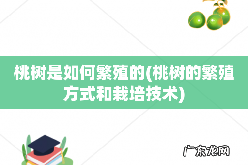 桃树的繁殖方式和栽培技术 桃树是如何繁殖的