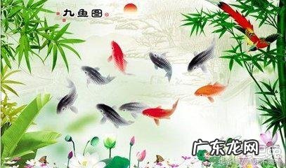 鬼压床跟风水有关吗