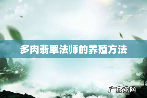 多肉翡翠法师的养殖方法