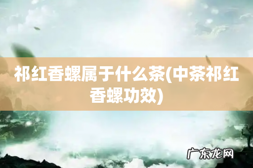 中茶祁红香螺功效 祁红香螺属于什么茶