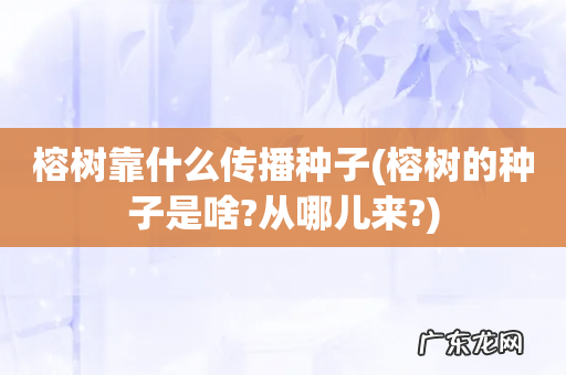 榕树的种子是啥?从哪儿来? 榕树靠什么传播种子