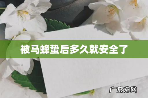 被马蜂蛰后多久就安全了