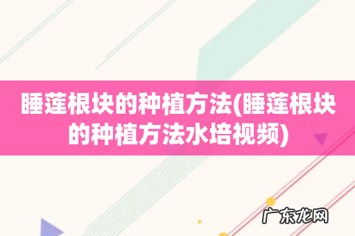 睡莲根块的种植方法水培视频 睡莲根块的种植方法