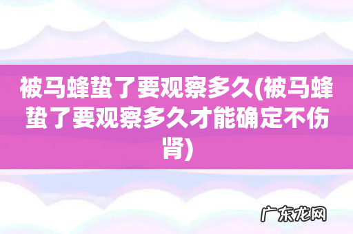 被马蜂蛰了要观察多久才能确定不伤肾 被马蜂蛰了要观察多久