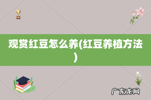 红豆养植方法 观赏红豆怎么养