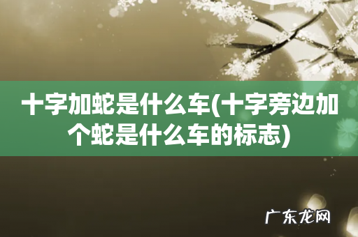 十字旁边加个蛇是什么车的标志 十字加蛇是什么车