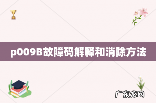 p009B故障码解释和消除方法