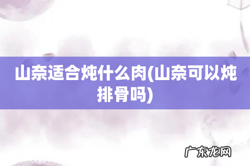山奈可以炖排骨吗 山奈适合炖什么肉