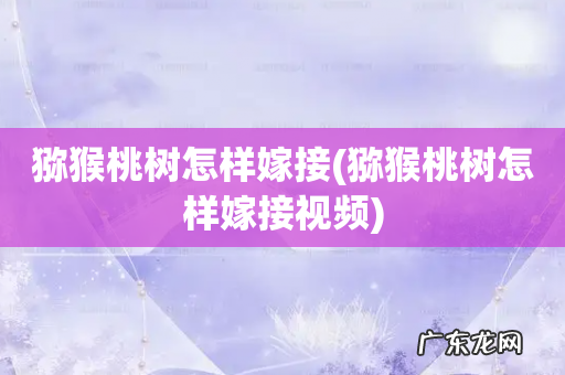 猕猴桃树怎样嫁接视频 猕猴桃树怎样嫁接