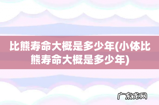 小体比熊寿命大概是多少年 比熊寿命大概是多少年