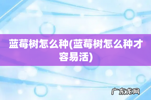 蓝莓树怎么种才容易活 蓝莓树怎么种