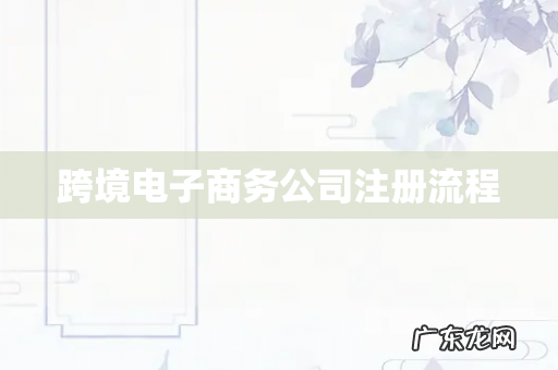 跨境电子商务公司注册流程