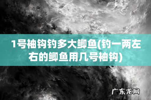 钓一两左右的鲫鱼用几号袖钩 1号袖钩钓多大鲫鱼