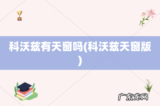 科沃兹天窗版 科沃兹有天窗吗