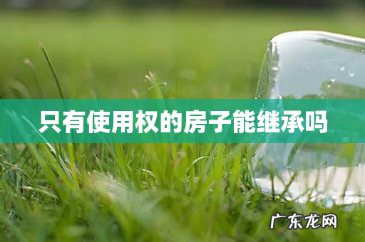 只有使用权的房子能继承吗