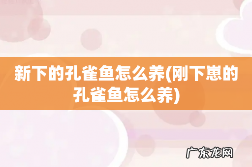 刚下崽的孔雀鱼怎么养 新下的孔雀鱼怎么养