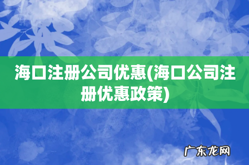 海口公司注册优惠政策 海口注册公司优惠