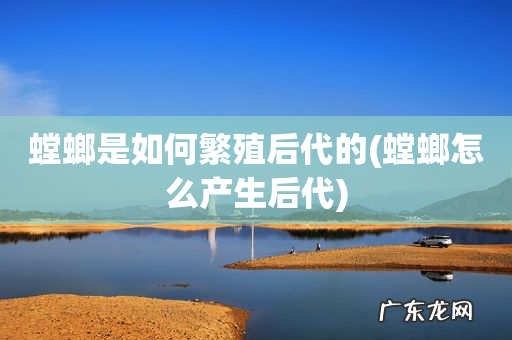 螳螂怎么产生后代 螳螂是如何繁殖后代的