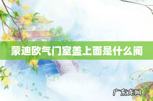 蒙迪欧气门室盖上面是什么阀