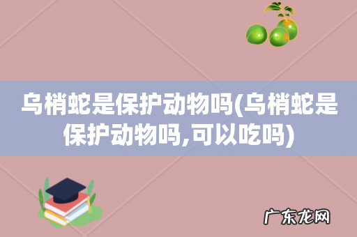 乌梢蛇是保护动物吗,可以吃吗 乌梢蛇是保护动物吗