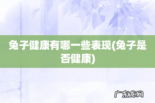 兔子是否健康 兔子健康有哪一些表现