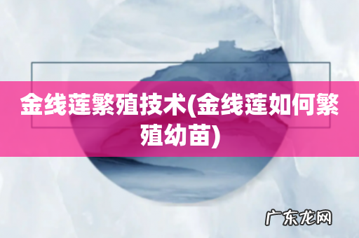 金线莲如何繁殖幼苗 金线莲繁殖技术
