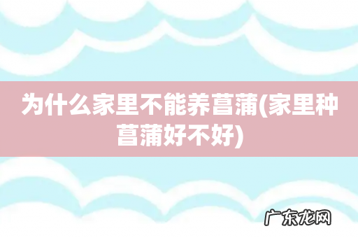 家里种菖蒲好不好 为什么家里不能养菖蒲