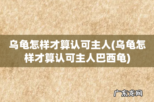 乌龟怎样才算认可主人巴西龟 乌龟怎样才算认可主人