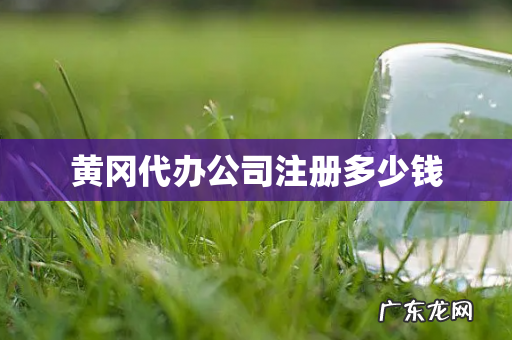 黄冈代办公司注册多少钱