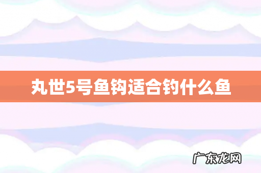 丸世5号鱼钩适合钓什么鱼