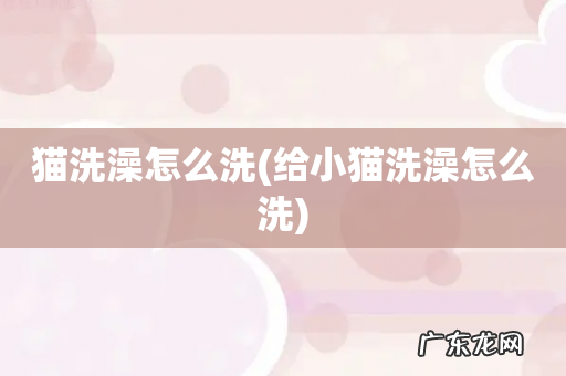 给小猫洗澡怎么洗 猫洗澡怎么洗