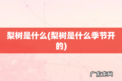 梨树是什么季节开的 梨树是什么