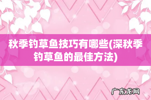 深秋季钓草鱼的最佳方法 秋季钓草鱼技巧有哪些