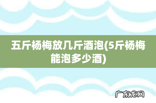 5斤杨梅能泡多少酒 五斤杨梅放几斤酒泡