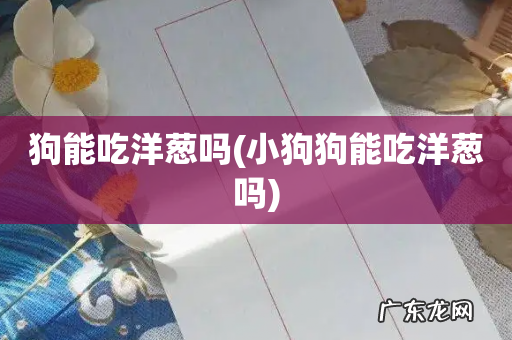 小狗狗能吃洋葱吗 狗能吃洋葱吗