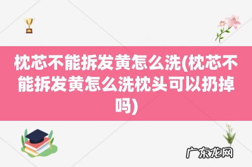 枕芯不能拆发黄怎么洗枕头可以扔掉吗 枕芯不能拆发黄怎么洗