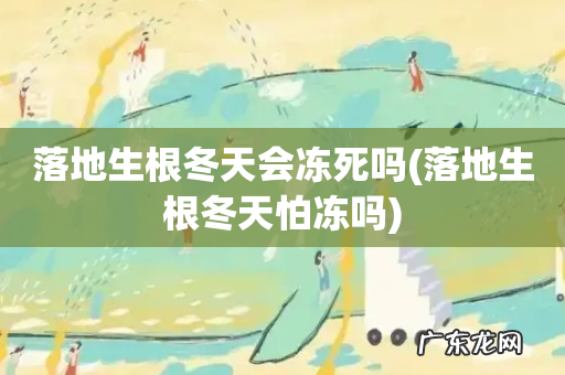 落地生根冬天怕冻吗 落地生根冬天会冻死吗