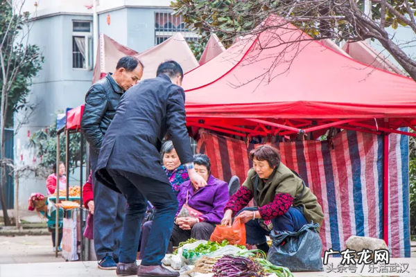 风水宝地活龙口 盘龙城风水宝地