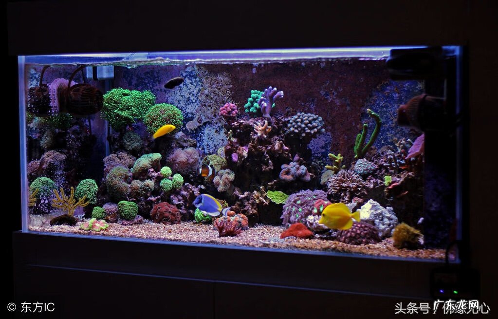 聚财风水局 招财的风水局