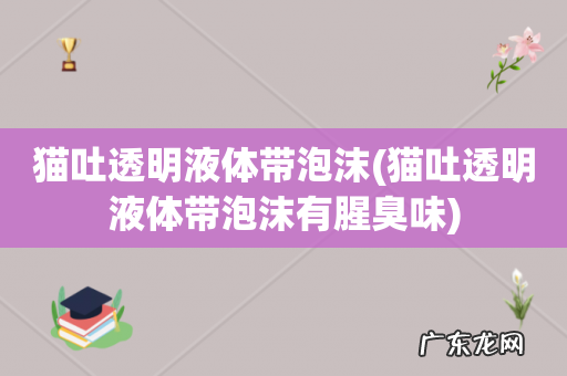 猫吐透明液体带泡沫有腥臭味 猫吐透明液体带泡沫