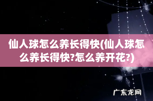 仙人球怎么养长得快?怎么养开花? 仙人球怎么养长得快