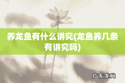 龙鱼养几条有讲究吗 养龙鱼有什么讲究