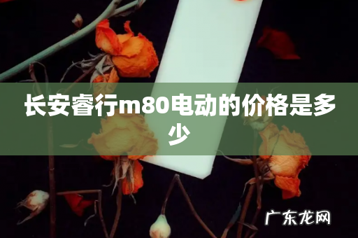 长安睿行m80电动的价格是多少