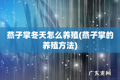 燕子掌的养殖方法 燕子掌冬天怎么养殖